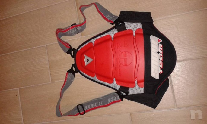 Paraschiena Dainese foto-1002
