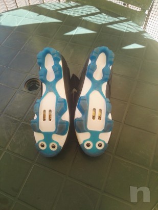 Vendo causa numero errato   foto-18289