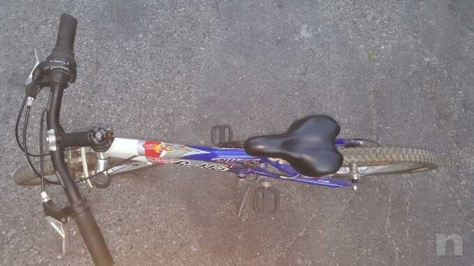 Bici mountain bike foto-18549