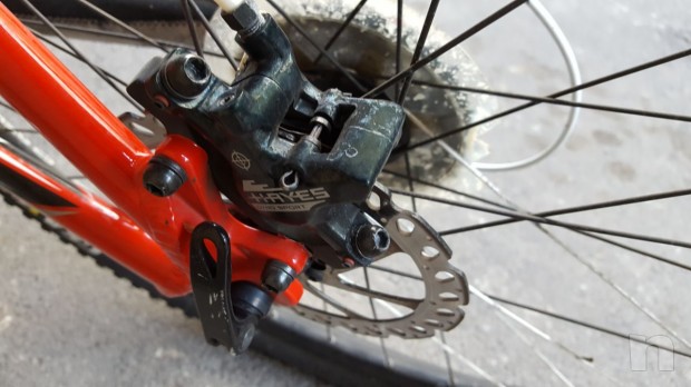 Bianchi kuma 29.2 foto-10237