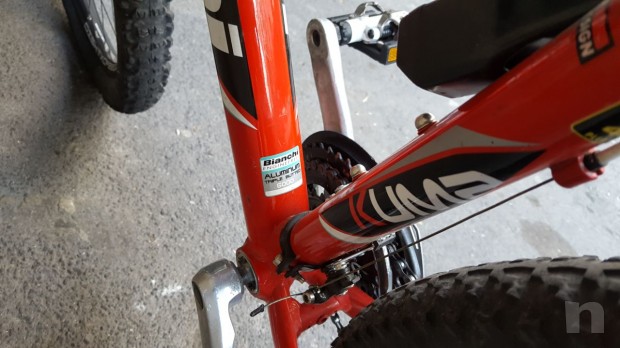 Bianchi kuma 29.2 foto-18760