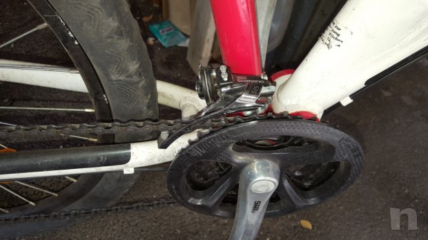 Bull 26'' tedesca foto-18761