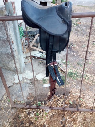 Sella per Pony foto-10288