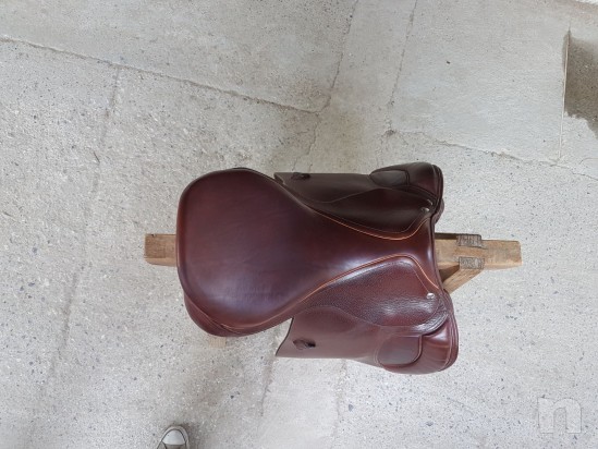 Sella da salto Henri de Rivel ottimo stato foto-18917