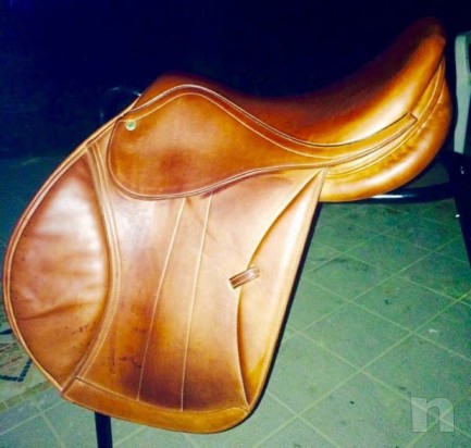 Sella inglese  foto-18953