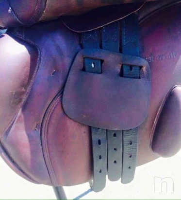 Sella inglese foto-18962