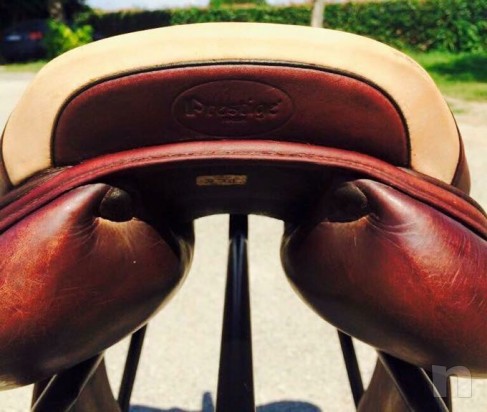 Sella inglese foto-18964