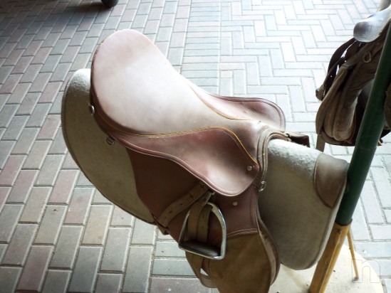 Selle equitazione foto-10344