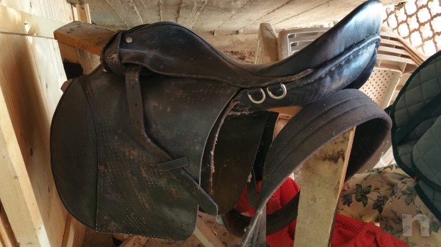 Sella monta inglese foto-1036