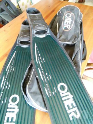 Pinne in carbonio foto-19056