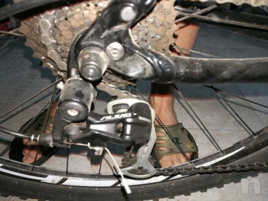 MTB rocknorpper specialized  foto-19224