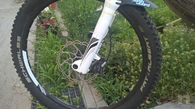 SCOTT GENIUS foto-19232