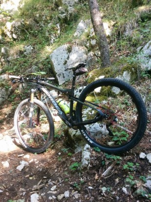 orbea oiz 29 Tg M foto-19246