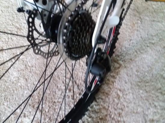 Vendo atala dragon "26" 2014 foto-19269