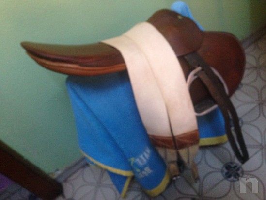 Sella paletta   foto-10477