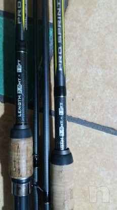 coppia di canne colmic foto-10481