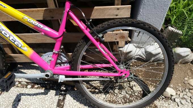 bici da passeggio foto-19303