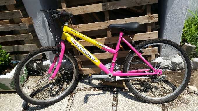 bici da passeggio foto-10483