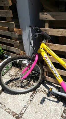 bici da passeggio foto-19302