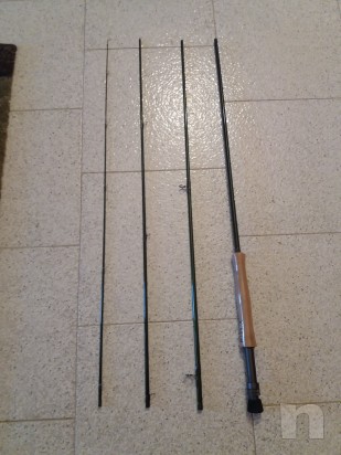 Canna a Mosca  foto-19323