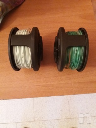 Canna a Mosca  foto-19326