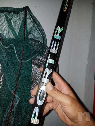 Bolognese 7m foto-10495