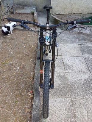 Bionicon Ironwood foto-10499