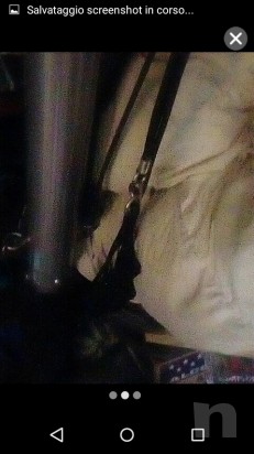 Pedana vibro foto-19479