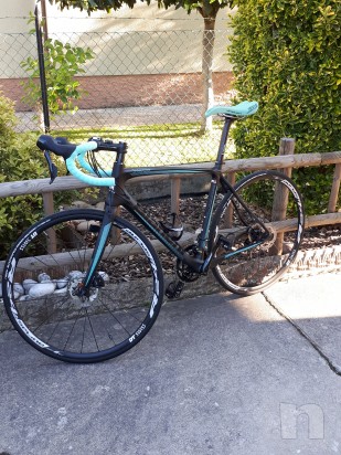 Bianchi intenso  foto-10592