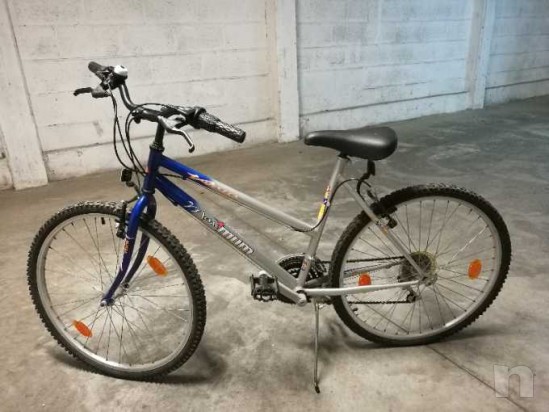 Mountain Bike Venus Maximum foto-10623