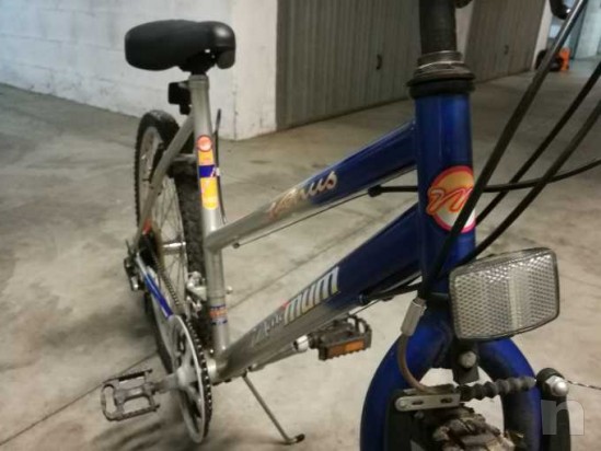 Mountain Bike Venus Maximum foto-19596