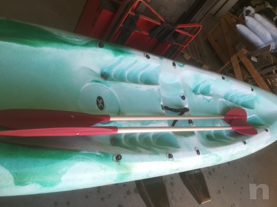 Canoa shark 02 foto-19792