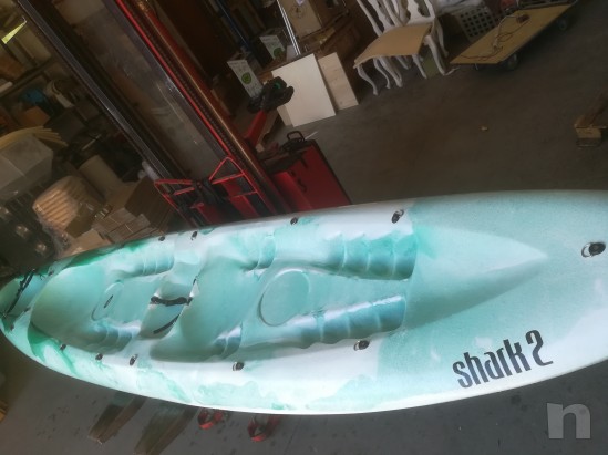 Canoa shark 02 foto-19795