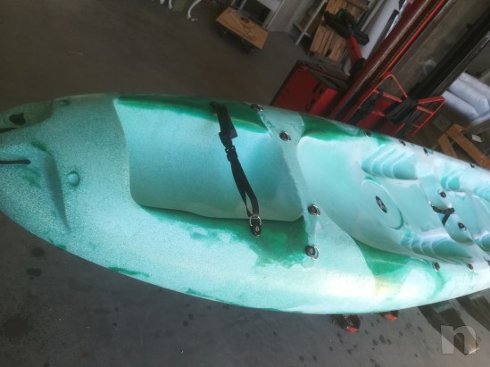 Canoa shark 02 foto-10712