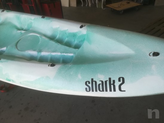 Canoa shark 02 foto-19793