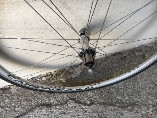 Campagnolo Scirocco foto-19947