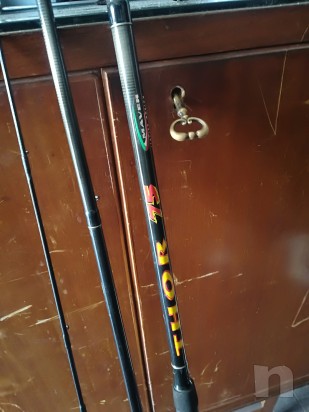 Canne e mulinelli foto-19963