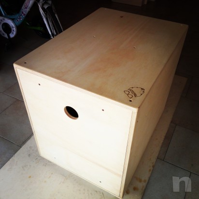 Plyometric box per crossfit e palestre foto-20438