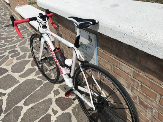 Cannondale Carbonio Tg”53(M) (accetto scambi) foto-20664