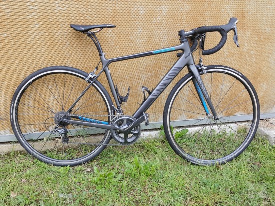 canyon endurace rim brake