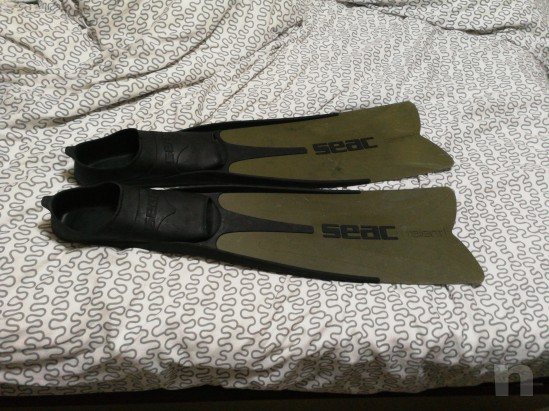 Attrezzatura pesca subacquea  foto-20940