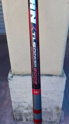 Bolognese foto-20967