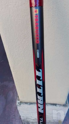 Bolognese foto-20965