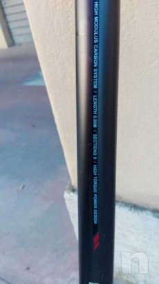 Bolognese foto-11301