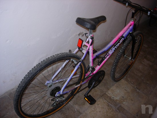 pedalare mantiene giovani foto-11338