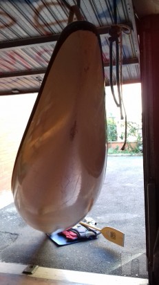 Canoa da turismo in VTR foto-21203