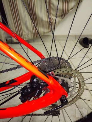 Mtb scott scale 970 29 pollici  foto-21249