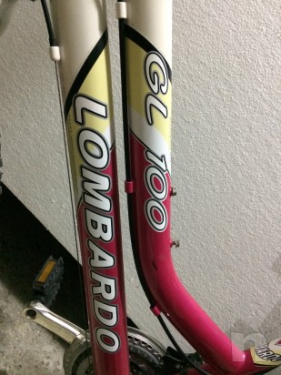 Mountain bike Lombardo GL 100 foto-21251