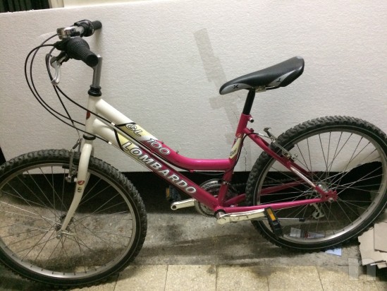 Mountain bike Lombardo GL 100 foto-11449