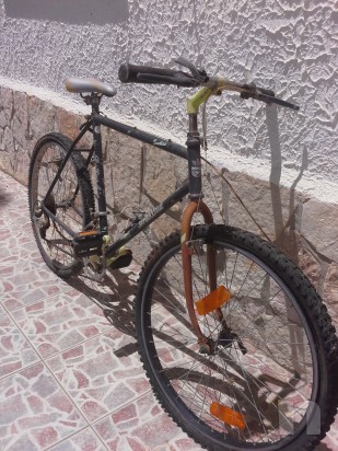 Bottecchia bici foto-11483